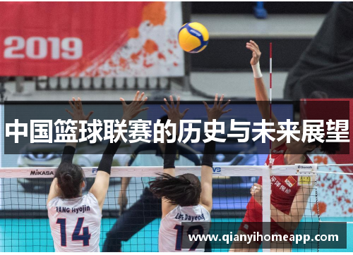 中国篮球联赛的历史与未来展望