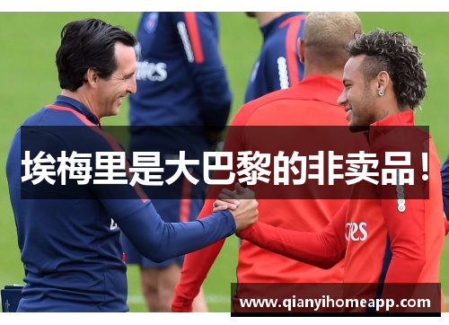 埃梅里是大巴黎的非卖品！