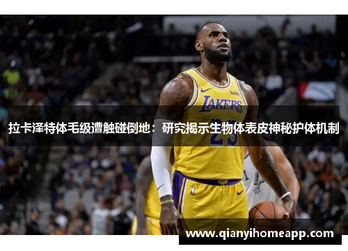 拉卡泽特体毛级遭触碰倒地：研究揭示生物体表皮神秘护体机制